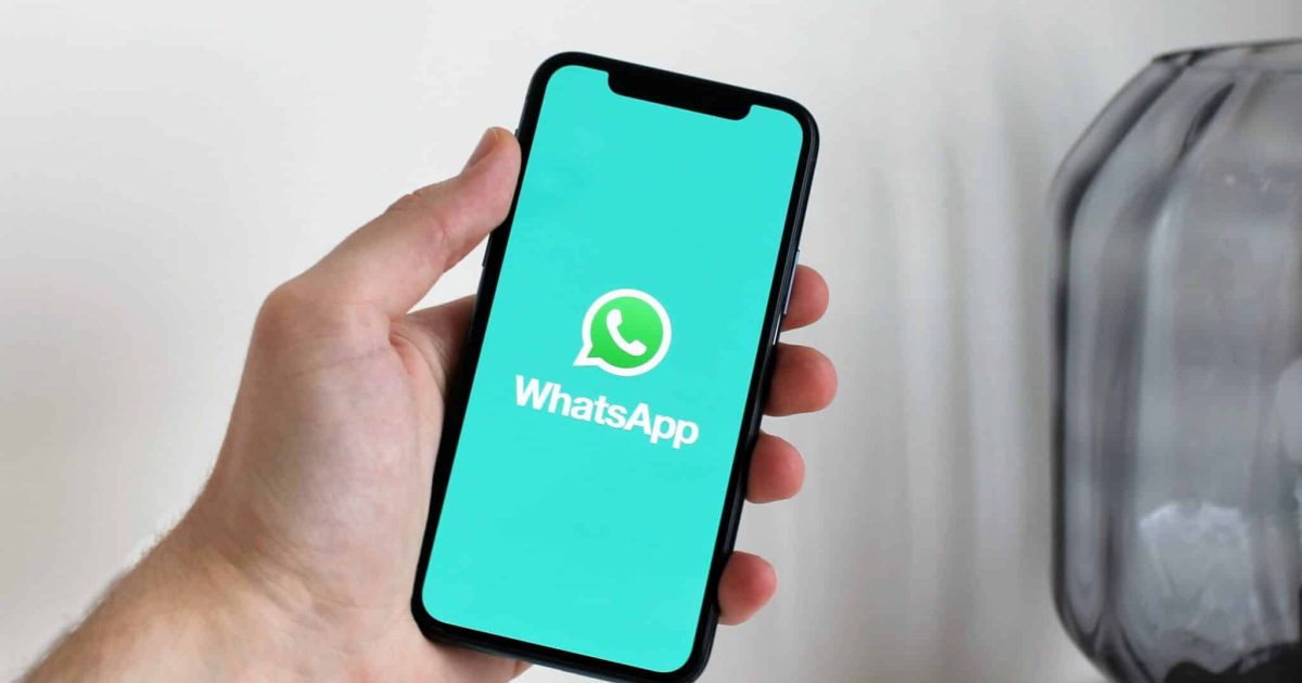 Gruppi WhatsApp di classe: guida alla sopravvivenza