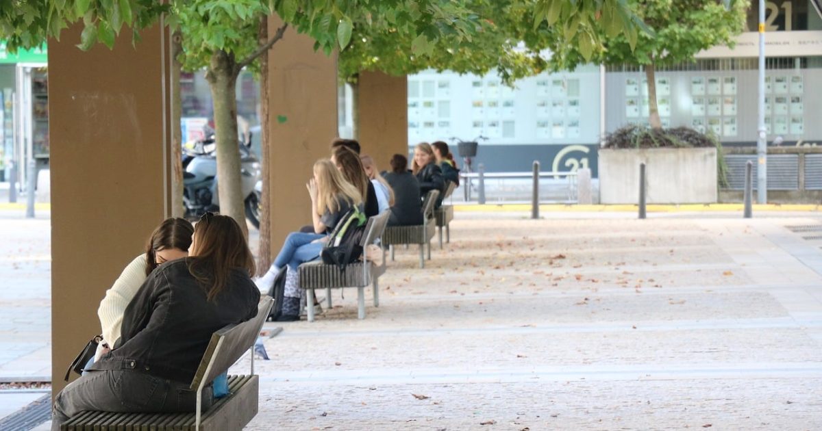 Socializzazione a scuola crescere insieme, imparare insieme, ecco come favorirla